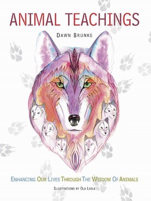 cover image of Animal Teachings